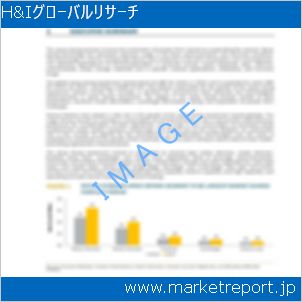 市場と産業調査レポートのイメージ